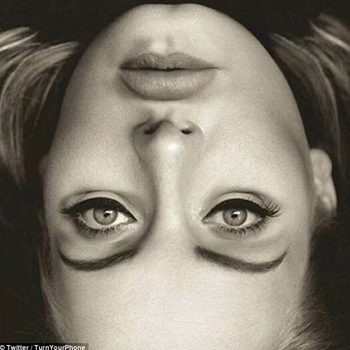 Bizarre Upside Down Image Of Adele Leaves The Internet Totally Perplexed Photo Gallery Inext Live