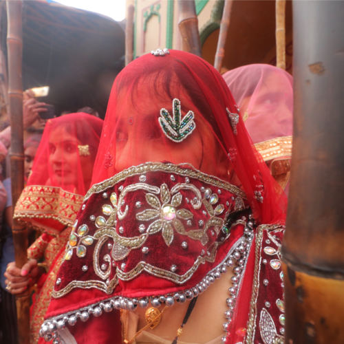 Barsane Ki Lathmar Holi 2021 Pics: तस्वीरों में देखें बरसाने में कैसे मनाई गई लठमार होली