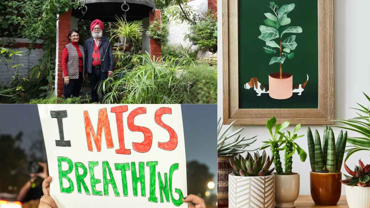 इन तरीकों से आप भी अपने घर में बना सकते हैं ‘क्लीन एयर जोन’