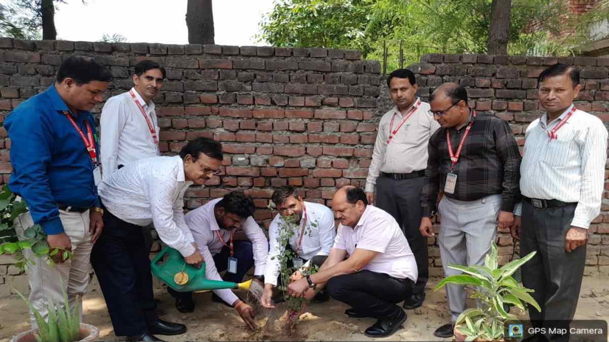 Meerut News : महावीर विश्वविद्यालय में हुआ वृक्षारोपण अभियान का आयोजन