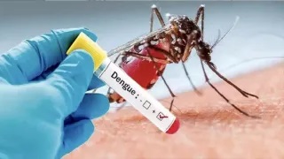 Photo: inextlive Rising Dengue Caseloads in Patna