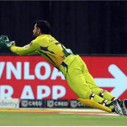 IPL 2020 CSK vs KKR: जडेजा ने लेटकर तो धोनी ने उड़कर पकड़ा कैच, फिर भी हारे मैच