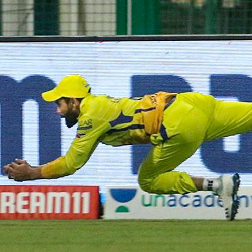 IPL 2020 CSK vs KKR: जडेजा ने लेटकर तो धोनी ने उड़कर पकड़ा कैच, फिर भी हारे मैच