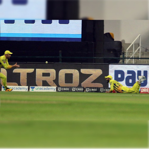 IPL 2020 CSK vs KKR: जडेजा ने लेटकर तो धोनी ने उड़कर पकड़ा कैच, फिर भी हारे मैच
