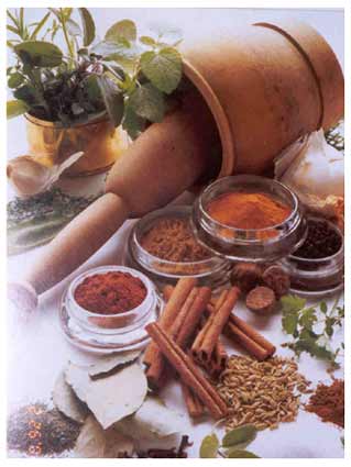 Dry spices for Sindhi mutton