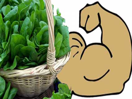 Spinach Is Healthy As It Builds Muscles Strong- Eat Spinach For Strong  Muscles