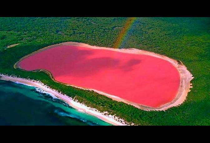 Know The Secret Of This Pink Lake Inext Live