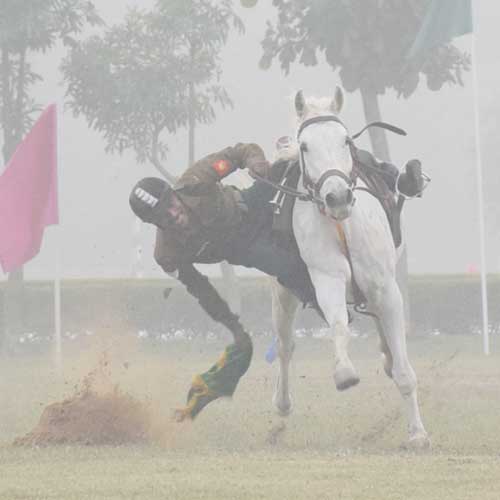 मेरठ छावनी में स्थित भारतीय सेना की रिमाउंट वेटेनरी कोर आरवीसी में आयोजित स्थापना दिवस पर कार्यक्रम