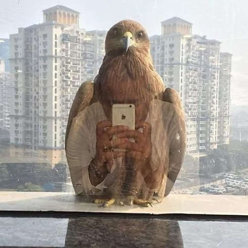 ऐसी परफेक्ट टाइमिंग वाली तस्वीरें खींचना किसी के बस की बात नहीं! फिर कहां से आईं ये तस्वीरें