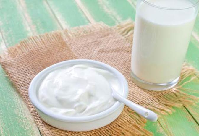 Which Is Healthier Milk Or Curd- कौन ज्‍यादा फायदेमंद दूध या दही मिल गया  जवाब
