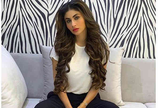 Step-by-step guide: How to get Mouni Roy's pouf braided bun