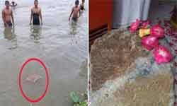 Rasetu Latest News In Hindi Photos Videos On Rasetu Inextlive Jagran